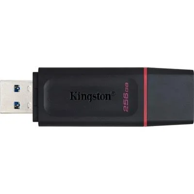 PENDRIVE KINGSTON DTX  256GB USB 3.2 0414352